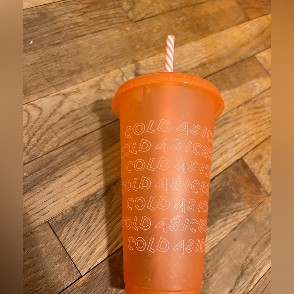 Holiday Ice Coffee Starbucks Cup